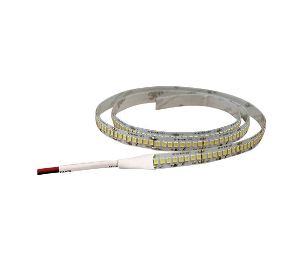 Striscia LED 24V SMD2835 240 LED/m 2200 lm IP20 – strip LED alta luminosità per profili e velette
