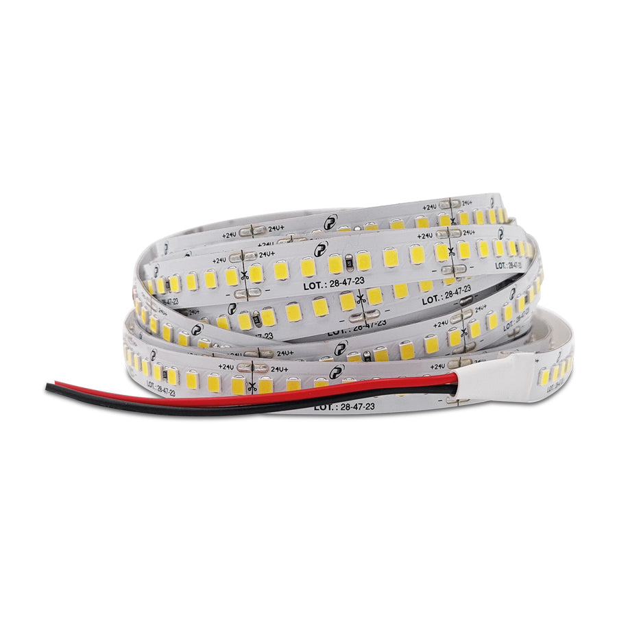 Striscia LED 24V SMD 2835 IP20 - 8W/mt - 1295 Lumen- 192 LED/MT