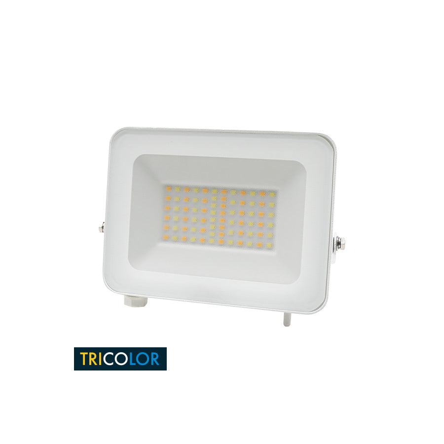Proiettore LED 30W IP65 Tricolor con vetro antiriflesso